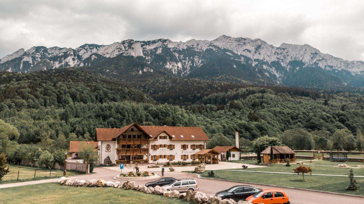 Villa Popasul Craiului Zărneşti Exterior foto