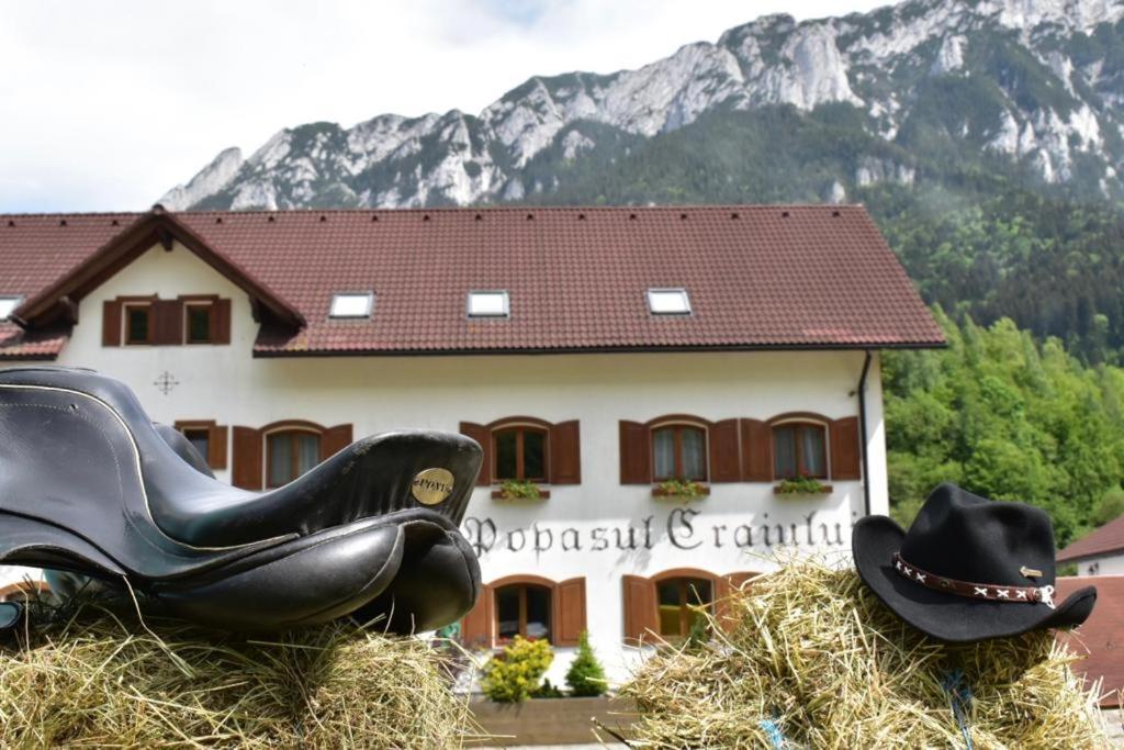 Villa Popasul Craiului Zărneşti Exterior foto