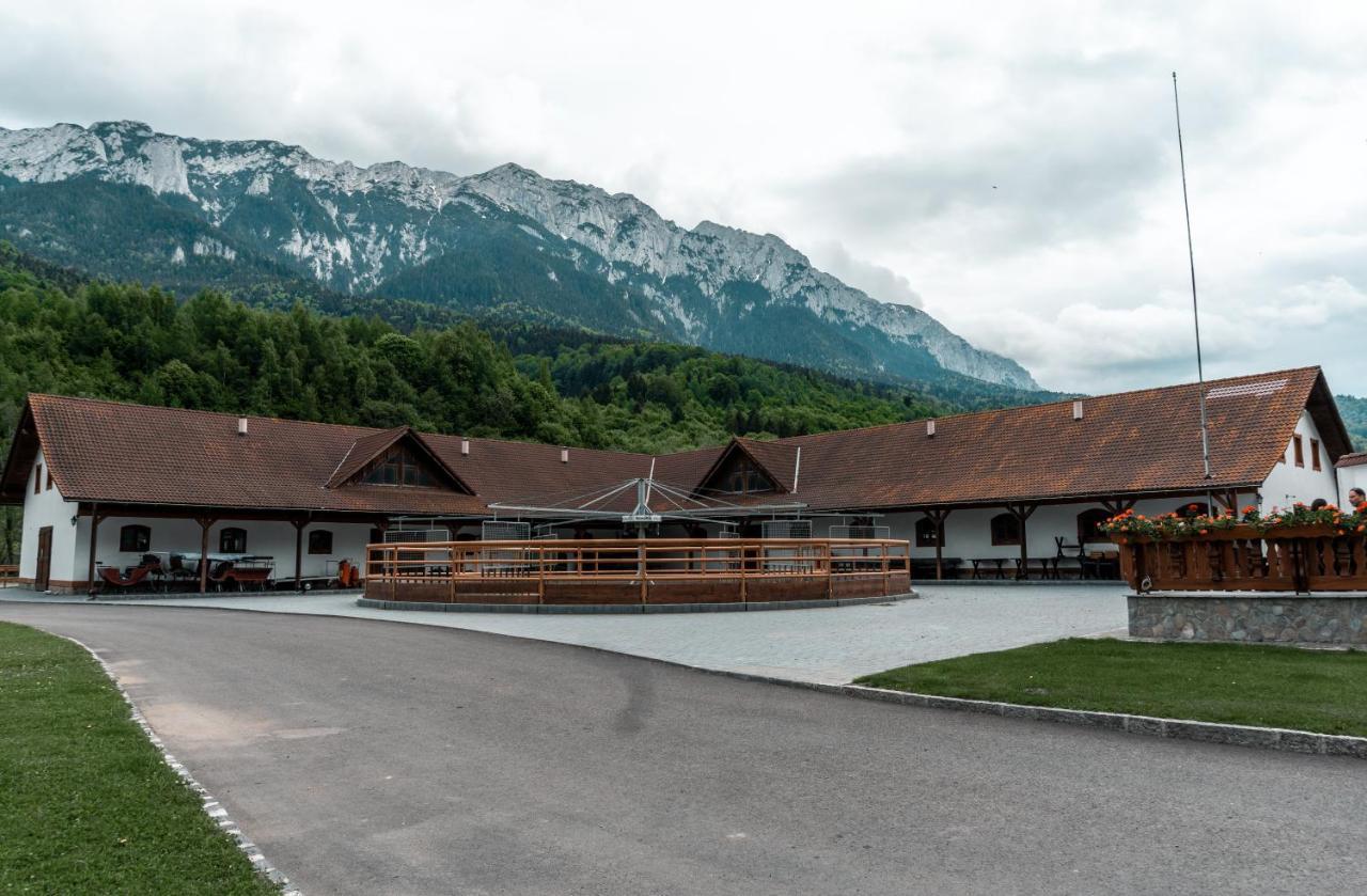 Villa Popasul Craiului Zărneşti Exterior foto