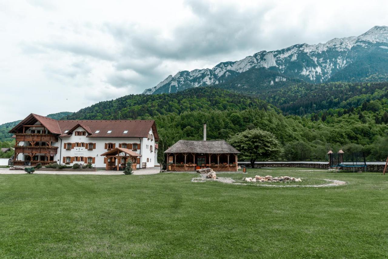 Villa Popasul Craiului Zărneşti Exterior foto