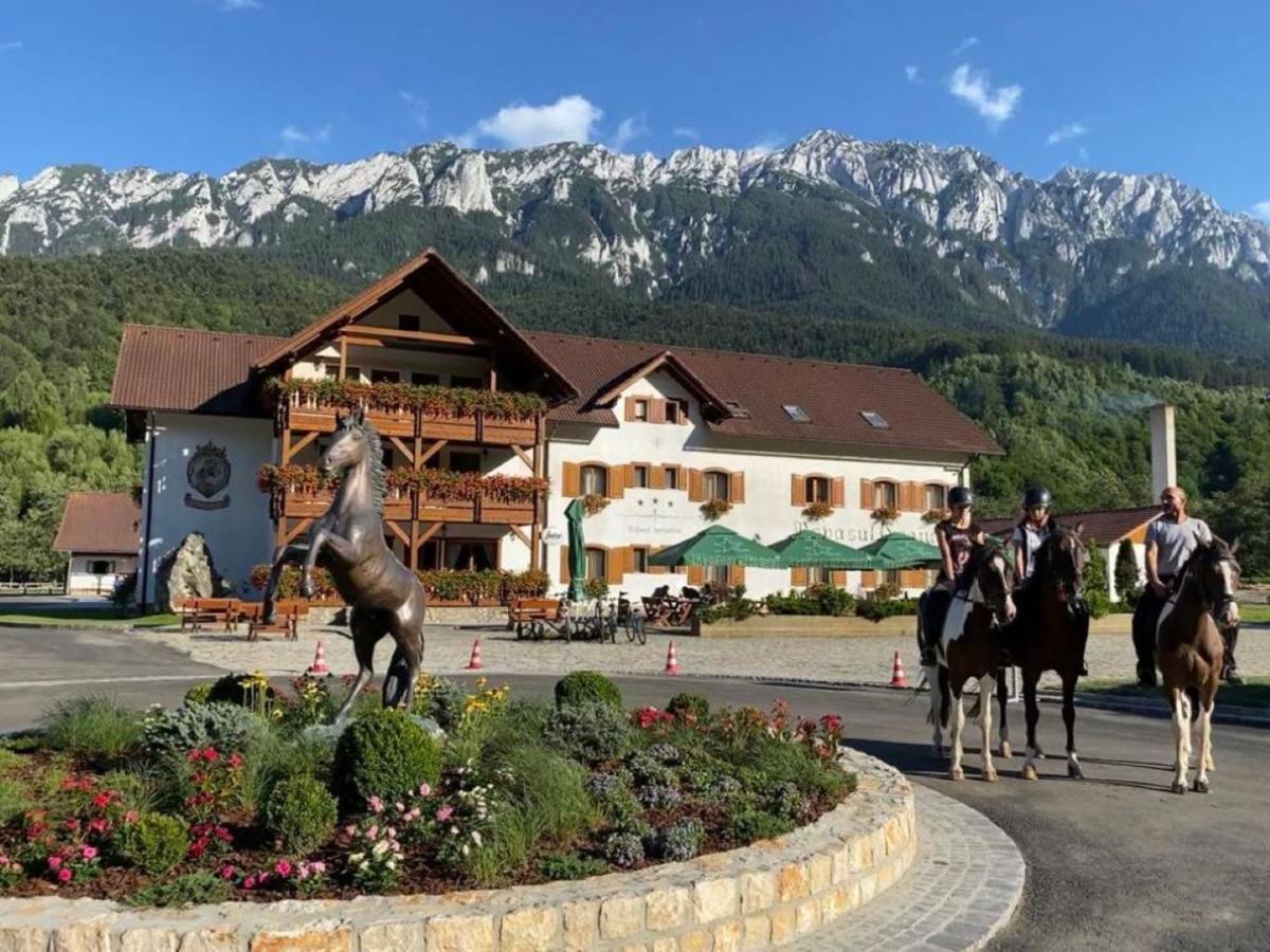 Villa Popasul Craiului Zărneşti Exterior foto