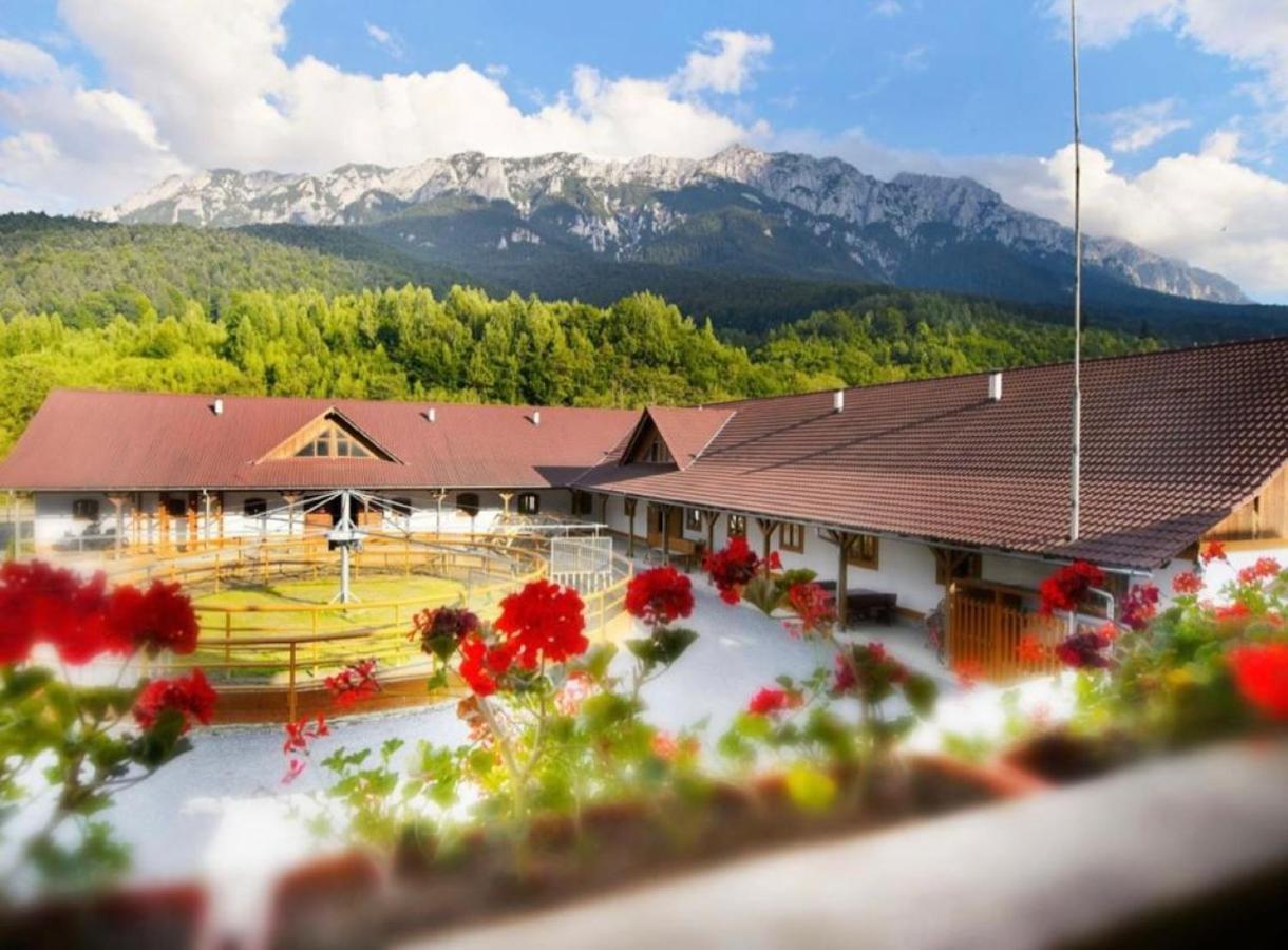Villa Popasul Craiului Zărneşti Exterior foto