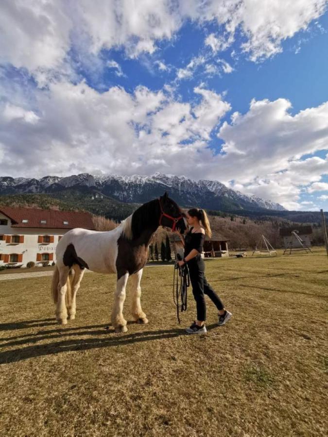 Villa Popasul Craiului Zărneşti Exterior foto